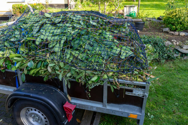 Moving and Downsizing Cleanouts in Weissport East, PA